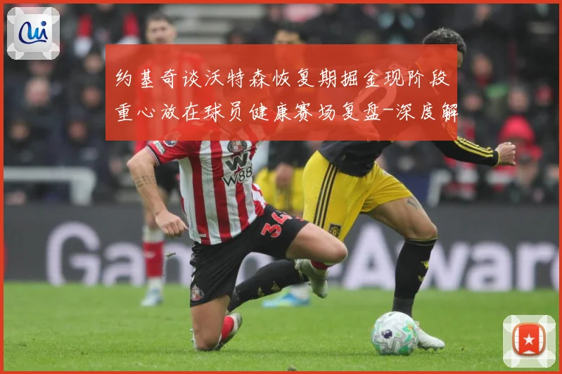 约基奇谈沃特森恢复期掘金现阶段重心放在球员健康赛场复盘-深度解析